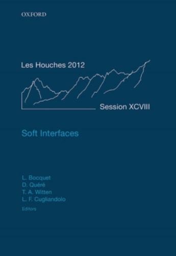 Soft Interfaces: Lecture Notes of the Les Houches Summer School, Volume 98