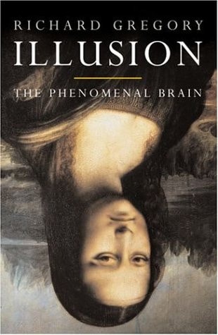Seeing Through Illusions