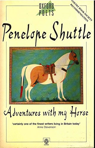 Adventures with My Horse