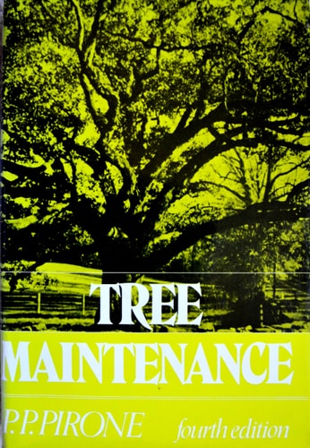 Tree Maintenance