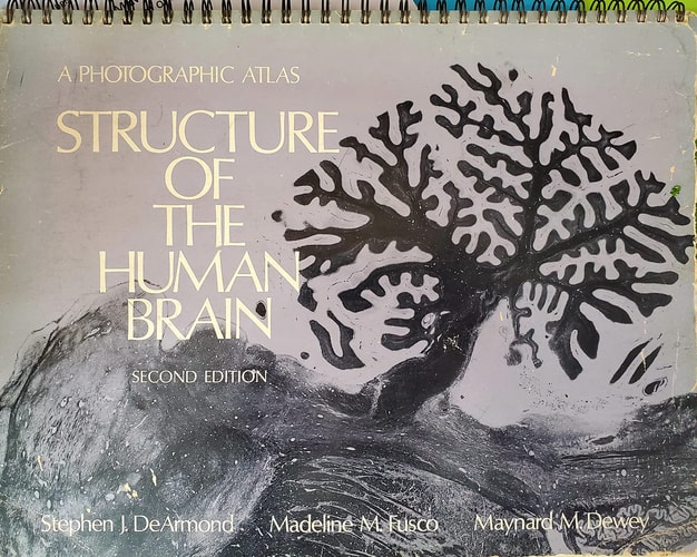 Structure of the Human Brain: A Photographic Atlas