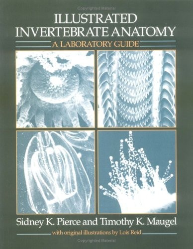 Illustrated Invertebrate Anatomy: A Laboratory Guide
