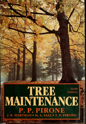 Tree Maintenance