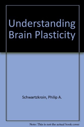 Understanding Brain Plasticity