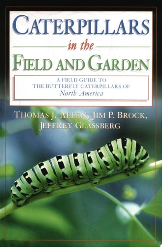 Caterpillars in the Field and Garden: A Field Guide to the Butterfly Caterpillars of North America