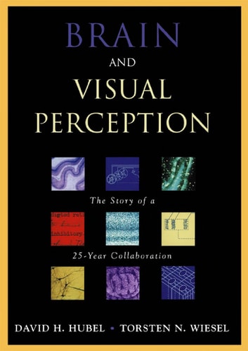 Brain and Visual Perception: The Story of a 25-Year Collaboration
