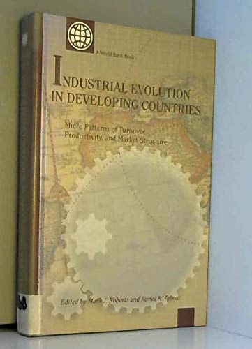 Industrial Evolution in Developing Countries: Micro Patterns of Turnover, Productivity, and Market Structure