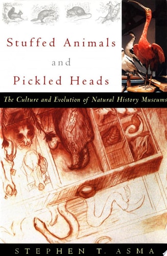 Stuffed Animals and Pickled Heads