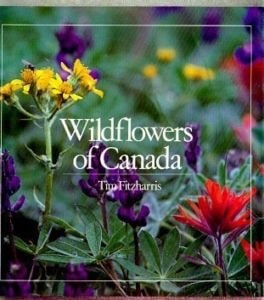 Wildflowers of Canada