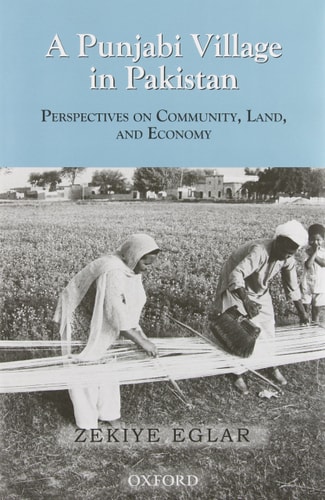 A Punjabi Village in Perspective