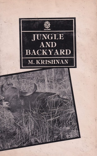 Jungle and Backyard