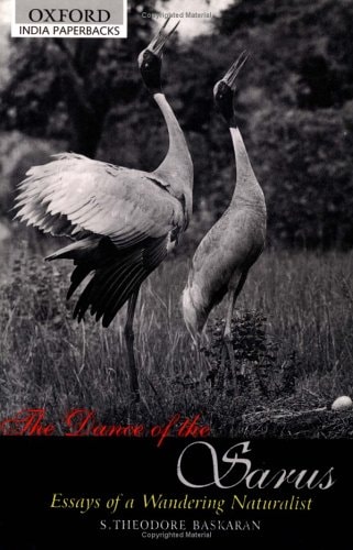 The Dance of the Sarus: Essays of a Wandering Naturalist