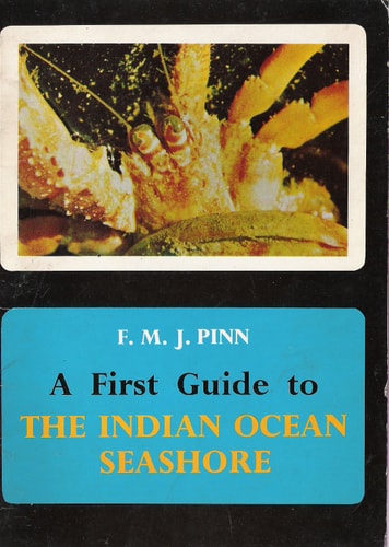 A First Guide to the Indian Ocean Seashore