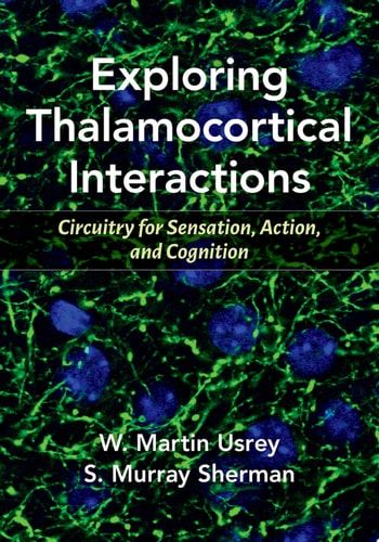 Exploring Thalamocortical Interactions Circuitry for Sensation, Action, and Cognition