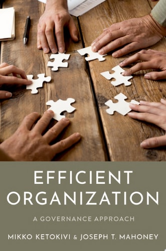 Efficient Organization A Governance Approach