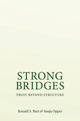 Strong Bridges - Trust Beyond Structure