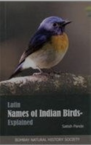 Latin Names of Indian Birds Explained