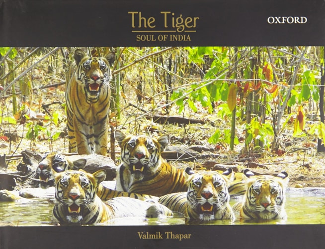 The Tiger: Soul of India