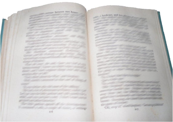 Oxford Reading Tree: Stage 1+: First Phonics: Teaching Notes