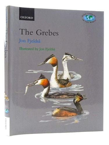 The Grebes: Podicipedidae