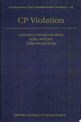 CP Violation