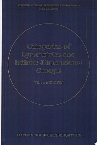 Categories of Symmetries and Infinite-Dimensional Groups