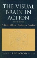 The Visual Brain in Action