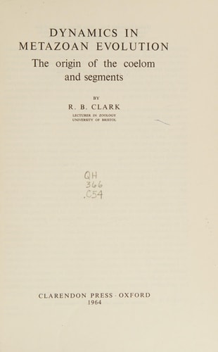 Dynamics in Metazoan Evolution