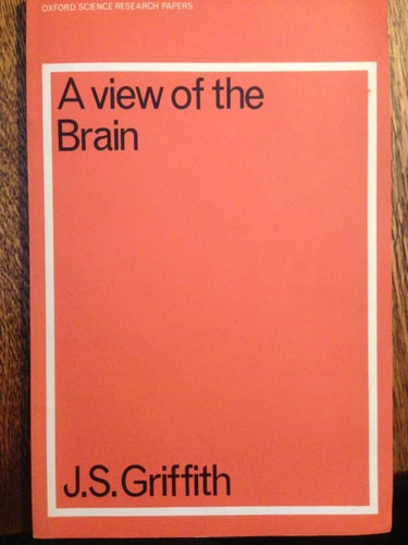 A View of the Brain