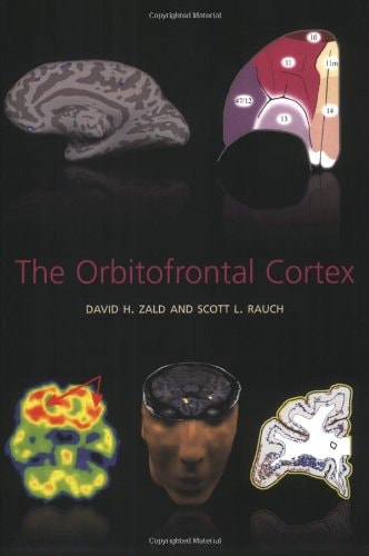 The Orbitofrontal Cortex