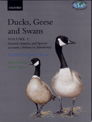Ducks, Geese, and Swans
