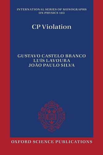 CP Violation
