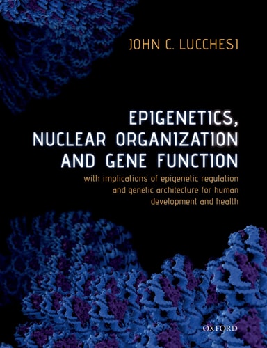 Epigenetics, Nuclear Organization and Gene Function With Implications of Epigenetic Regulation and Genetic Architecture for Human Development and Health