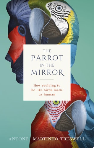 The Parrot in the Mirror: How Evolving to Be Like Birds Makes Us Human