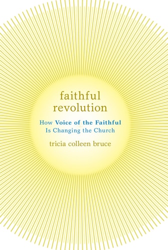 Faithful Revolution How Voice of the Faithful Is Changing the Church