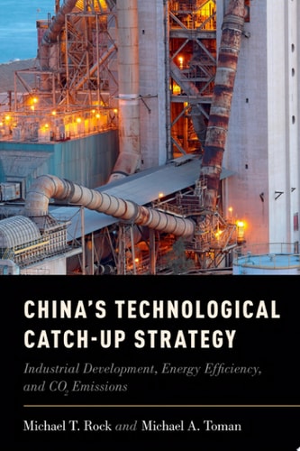 China's Technological Catch-Up Strategy Industrial Development, Energy Efficiency, and CO2 Emissions
