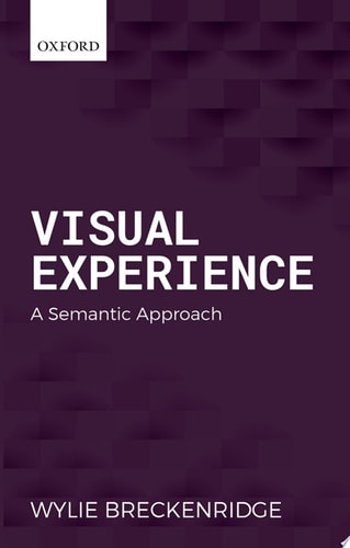 Visual Experience A Semantic Approach