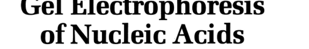 Gel Electrophoresis of Nucleic Acids A Practical Approach
