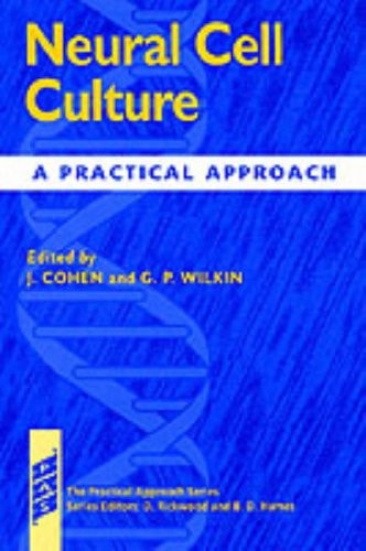 Neural Cell Culture: A Practical Approach