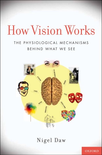 How Vision Works: The Physiological Mechanisms Behind What We See