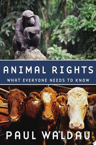 Animal Rights: What Everyone Needs to Know