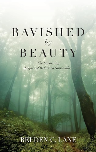 Ravished by Beauty The Surprising Legacy of Reformed Spirituality
