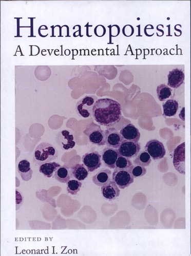 Hematopoiesis