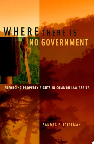 Where There Is No Government
