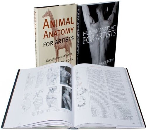 Anatomy for Artists