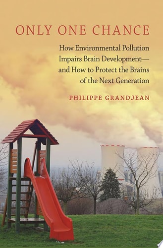 Only One Chance: How Environmental Pollution Impairs Brain Development -- and How to Protect the Brains of the Next Generation