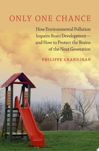 Only One Chance: How Environmental Pollution Impairs Brain Development -- and How to Protect the Brains of the Next Generation