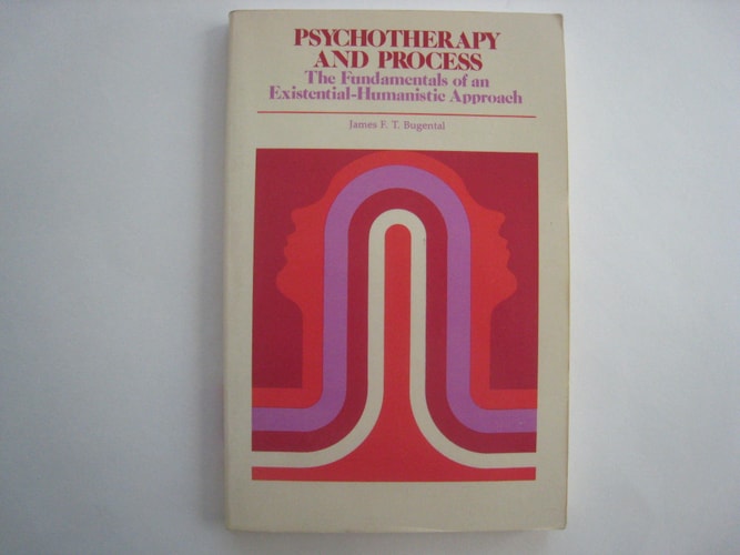 Psychotherapy and Process: The Fundamentals of an Existential-Humanistic Approach