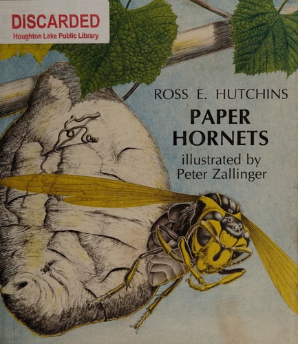 Paper Hornets
