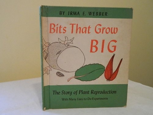 Bits That Grow Big